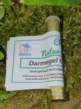 Darmegel Nosode - 028