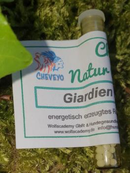 Giardien Nosode - 029   1,3g