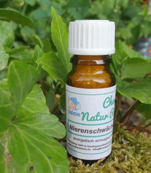 Nierenschwäche - 035