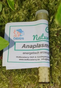 Anaplasmose Nosode - 032  1,3g