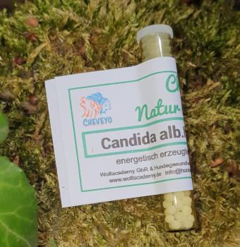 Candida alb. Nosode - 041