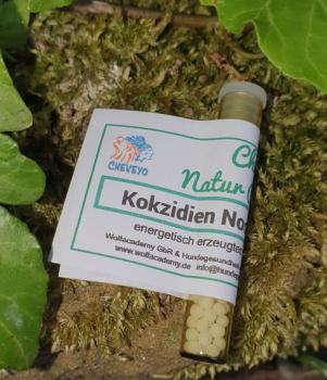 Kokzidien Nosode - 019    1,3g