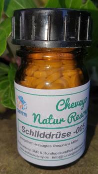 Schilddrüse -005
