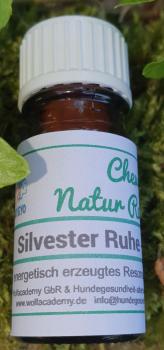 Silvester Ruhe - 006