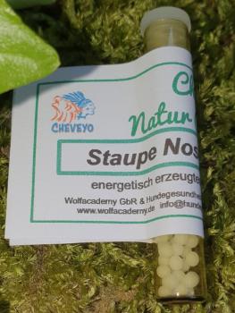 Staupe-Impfausleitung-030  Nosode