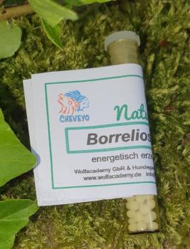 Borrelien Nosode - 024   1,3g