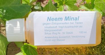 Neem Minal