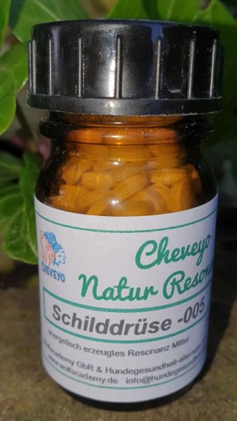 Schilddrüse -005
